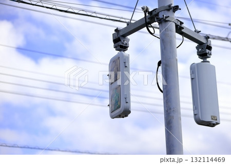 歩行者用信号機 132114469