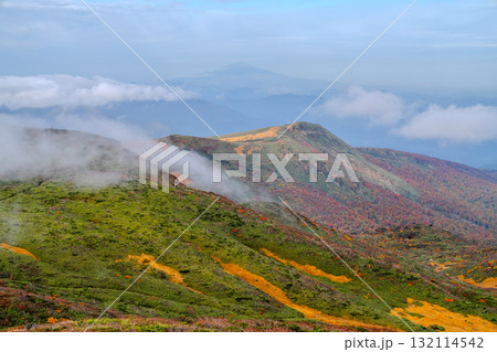 秋色に染まる稜線と雲海 鳥海山（出羽富士）を望む栗駒山登山道 132114542