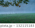 霞む牧場 132115183