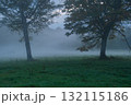 高原の朝霧 132115186