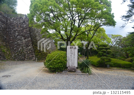 愛妻之碑（高知城／高知県高知市） 132115495