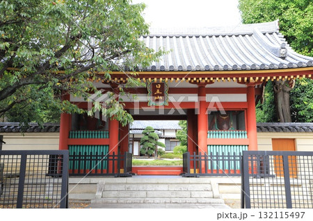 日王山阿遮長仙寺（にちおうざんあじゃいんちょうせんじ）　仁王門 132115497