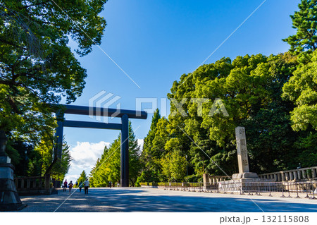 東京都　秋の靖国神社 132115808