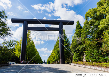 東京都　秋の靖国神社 132115809