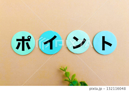 ポイント 132116048