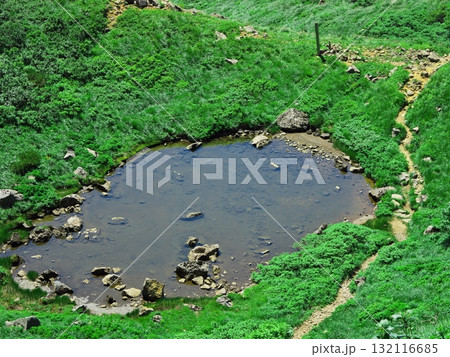 夏の岩木山　火口湖の種蒔苗代 132116685