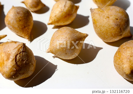 Mexican turnip or jicama or yam bean 132116720