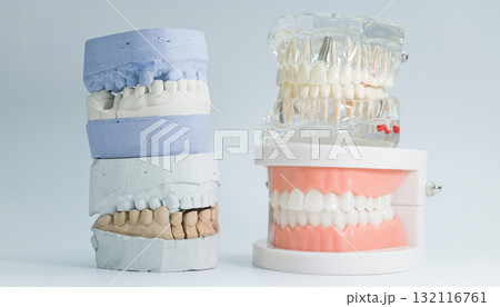 Types of dental models for education and prosthetics Types of dental models for education and prosthetics 132116761