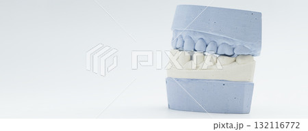 Dental bite model for orthodontic evaluation 132116772