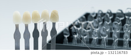 Dental shade samples with clear mold organizer Dental shade samples with clear mold organizer 132116783