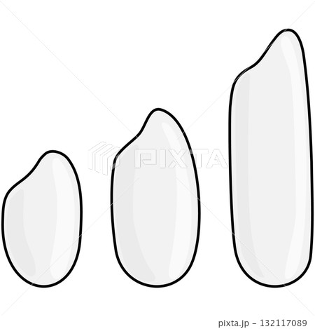 3つの米の種類(短粒種・中粒種・長粒種)のベクターイラスト 3つの米の種類(短粒種・中粒種・長粒種)のベクターイラスト 132117089
