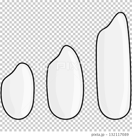 三種米(短粒、中粒、長粒)的向量圖解 三種米(短粒、中粒、長粒)的向量圖解 132117089