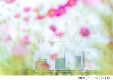 「埼玉県」見沼田んぼ秋の風景 132117116