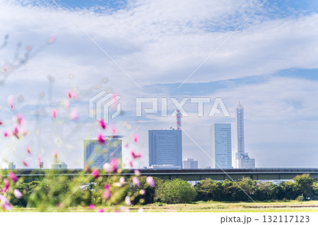 「埼玉県」見沼田んぼ秋の風景 「埼玉県」見沼田んぼ秋の風景 132117123