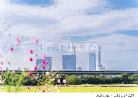 「埼玉県」見沼田んぼ秋の風景 132117124