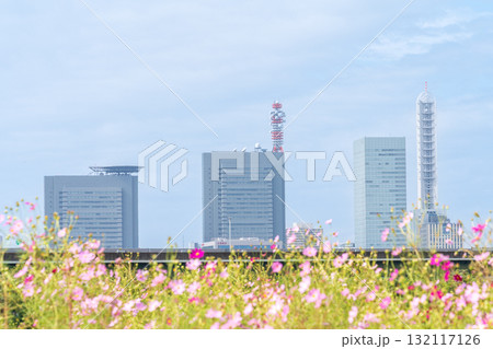 「埼玉県」見沼田んぼ秋の風景 132117126