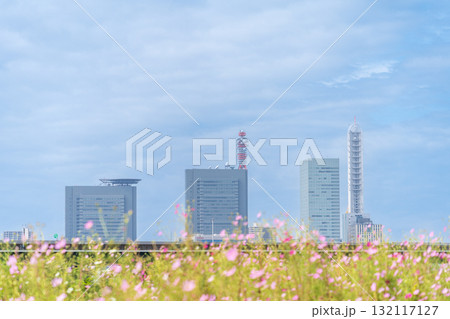 「埼玉県」見沼田んぼ秋の風景 「埼玉県」見沼田んぼ秋の風景 132117127