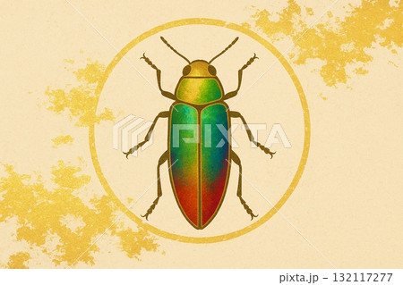 Tamamushi with Gold Motif｜金背景の玉虫イラスト 132117277