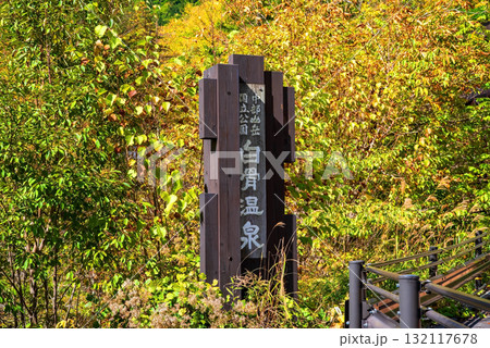 秋の白骨温泉 モニュメント看板《長野県 松本市》 132117678