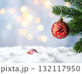 【クリスマス素材】キラキラ玉ボケとクリスマスツリーの装飾 【クリスマス素材】キラキラ玉ボケとクリスマスツリーの装飾 132117950