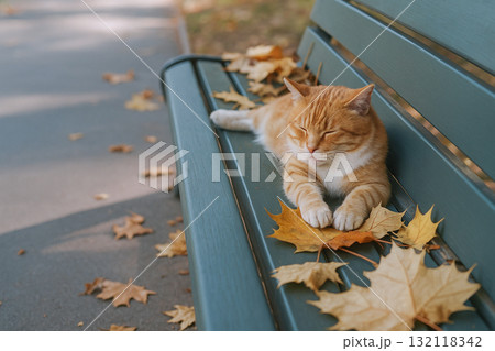 秋の公園のベンチでくつろぐ猫 秋の公園のベンチでくつろぐ猫 132118342