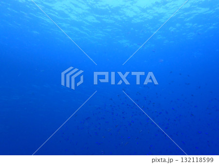 夢の中のような碧 132118599