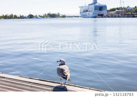 ヨーロッパ、フィンランドのヘルシンキ港の風景 132118783