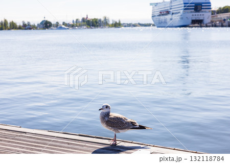 ヨーロッパ、フィンランドのヘルシンキ港の風景 132118784
