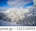 雪に覆われた木と青空 132118959