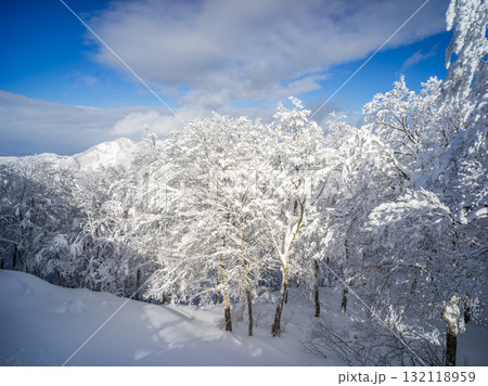 雪に覆われた木と青空 雪に覆われた木と青空 132118959