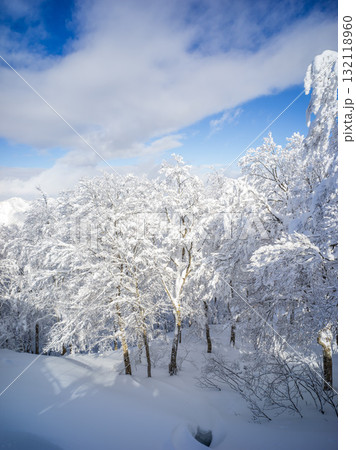 雪に覆われた木と青空 132118960
