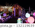 とっとり花回廊のクリスマスの夜のイルミネーション 132119639