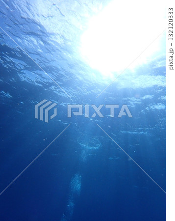 海中から見上げた空 132120333