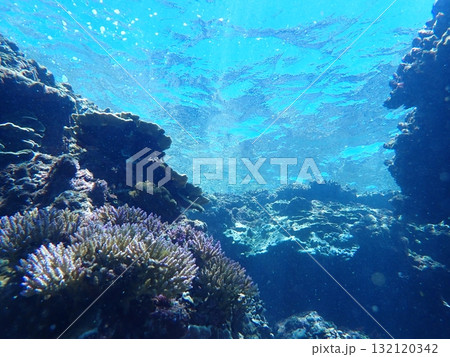 珊瑚礁広がる海の景色 132120342