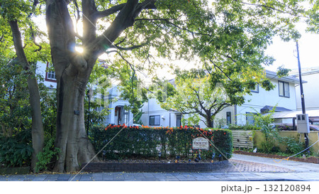 横浜市の山手西洋館 132120894