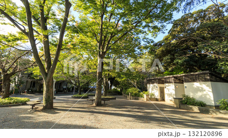 横浜市の山手西洋館 横浜市の山手西洋館 132120896