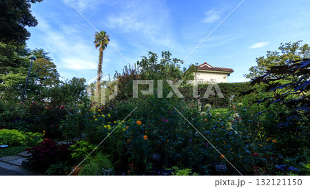 横浜市港の見える丘公園 132121150