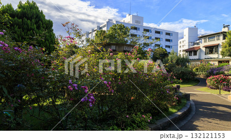 横浜市港の見える丘公園 132121153