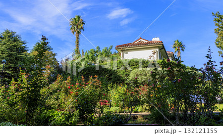 横浜市港の見える丘公園 132121155