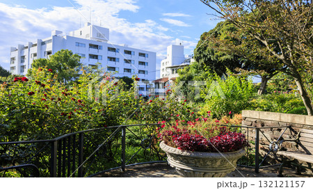 横浜市港の見える丘公園 132121157