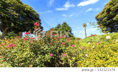 横浜市港の見える丘公園 132121174