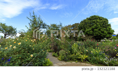 横浜市港の見える丘公園 横浜市港の見える丘公園 132121188