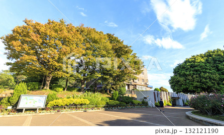 横浜市港の見える丘公園 横浜市港の見える丘公園 132121190