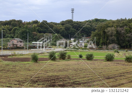 市貝の田園と風景 市貝の田園と風景 132121242