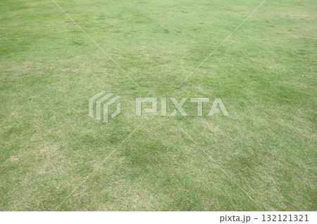 道の駅のとある芝生 132121321