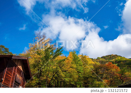 白骨温泉「泡の湯旅館」周辺の紅葉 132121572