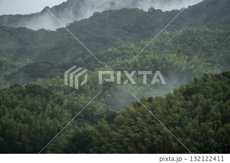 霧に包まれた森 132122411