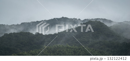霧に包まれた森 霧に包まれた森 132122412