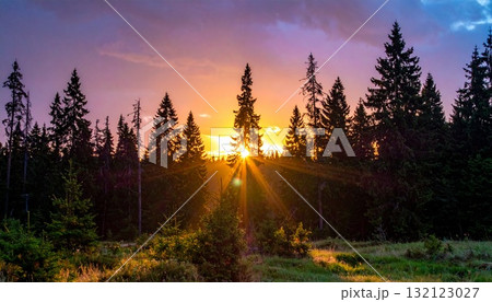 森に差し込む夕日の光が描く幻想的な風景 132123027