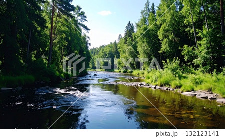 緑の木々に囲まれた穏やかな清流の風景 132123141